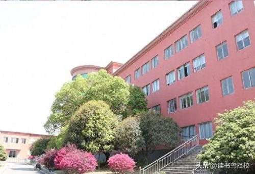湖南技能学校排名前十专业(湖南高职院校最好专业)插图2