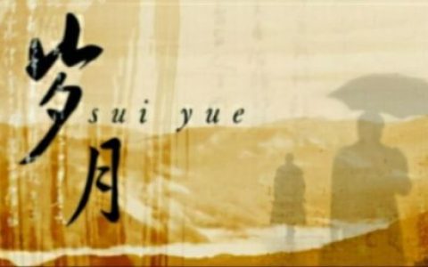岁月这个词究竟是什么含义(却是这个词是什么意思)