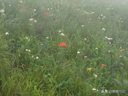 北京十大山峰海拔排行榜(中国所有山峰海拔排名)插图1