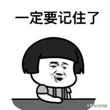 张家港宠物狗排名前十(昆山宠物狗排名)插图