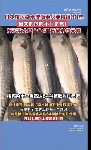 见证第一核电(核电第一巨头是谁)插图14
