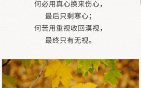 真心付出换来却是寒心(重感情的人一旦心寒了)