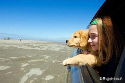 旅行歌曲十大金曲排行榜(旅行好听歌曲完整版)插图3