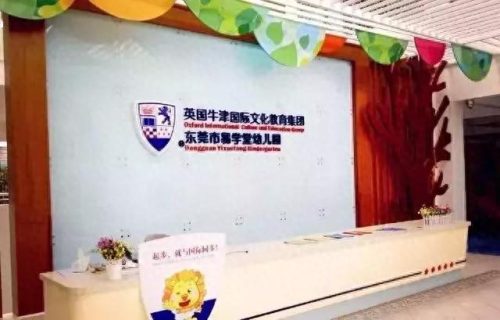 东莞龙岗的小学排名前十(凤岗的小学排名一览表)插图13
