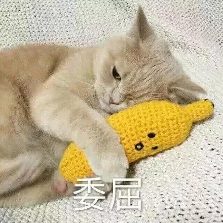 以前上海十大生煎排行榜(上海包子品牌十大排行榜)插图1