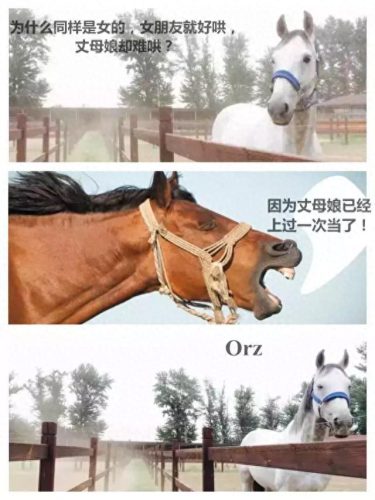 辩论赛中噎死对方的话(一句噎死对方的神回复)插图2