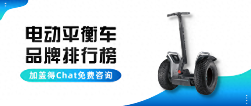 十大平衡车品牌排行榜A(世界十大平衡车品牌)插图