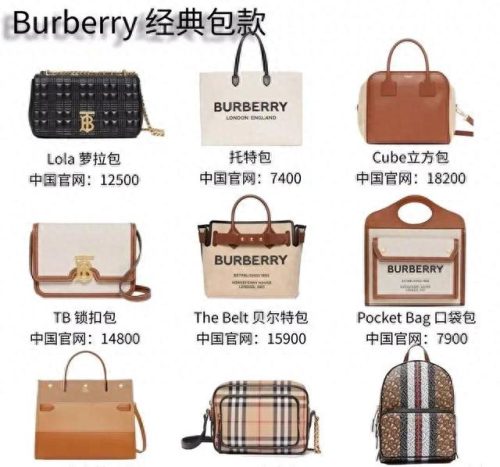 亚太十大名牌包品牌排行榜(名牌包的品牌排行榜)插图9