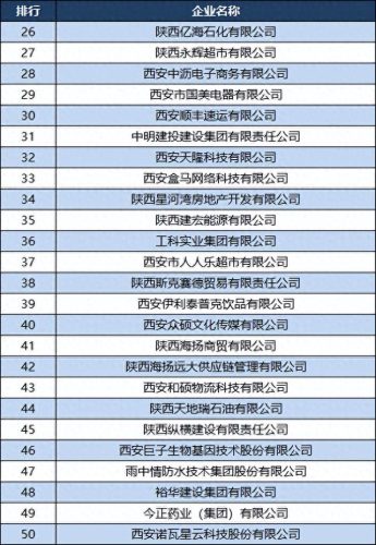 西安汽车工业厂排名前十(陕西汽车工业实力排名前十)插图3