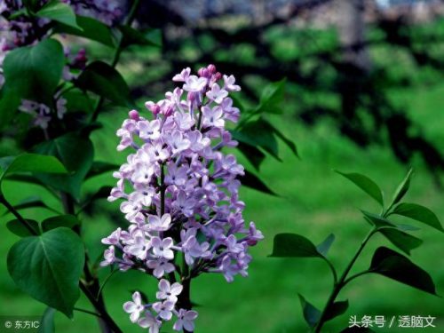中国新相亲十大歌曲排行榜(相亲必问十大问题列表)插图3