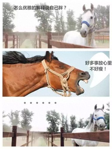 辩论赛中噎死对方的话(一句噎死对方的神回复)插图11