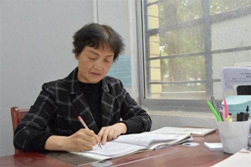 镇平县 初中排名前十(镇平县小学排名)插图