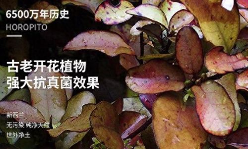 脚气药十大排行榜 进口(进口脚气药排行榜)插图15