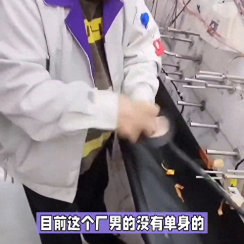 嘉兴汽车线束排名前十(嘉兴汽车开关排名榜前十名)插图1