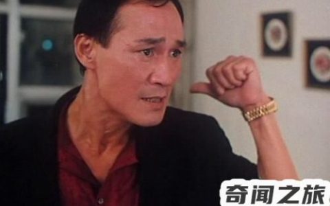 孤身降服贼王张子强的事情常被人津津乐道(贼王张子强最怕的人)