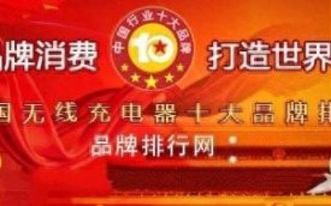 中国十大充电器排行榜最新(智能充电器最新排行榜)