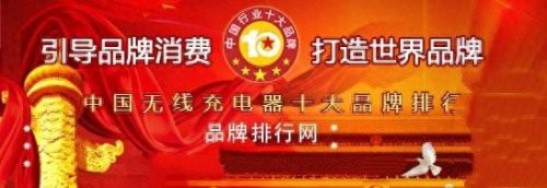 中国十大充电器排行榜最新(智能充电器最新排行榜)插图