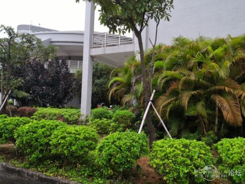 安卓智能手机论坛官网(安卓论坛官网入口)插图41