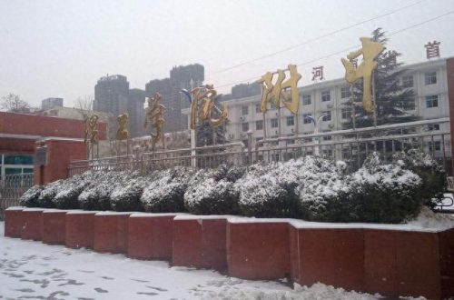 洛宁高三复读排名前十(洛宁高考直播)插图3