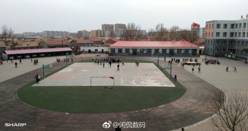 夏普S3 (mini开箱测评)插图15