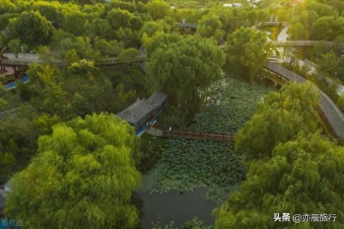 世界最美森林公园排名前十(十大森林公园排行榜)插图17
