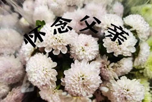思念天堂父亲的句子(女儿思念父亲的短句)插图1