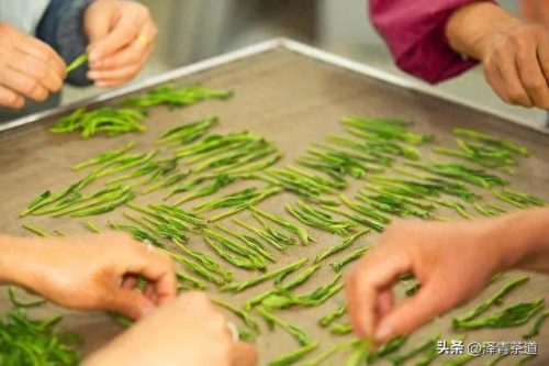 高质量茶叶品牌排行榜十大(十大高档茶叶品牌)插图5