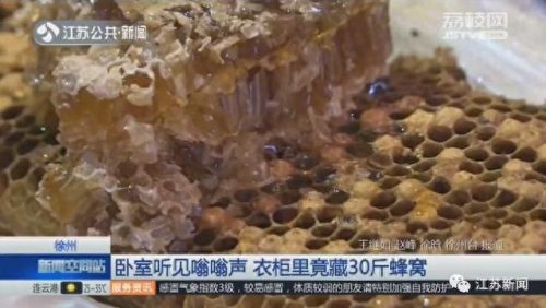 徐州铝蜂窝洁净板排名前十(铝蜂窝洁净板哪家专业)插图6