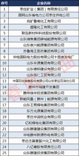 山东聊城水泥厂家排名前十(聊城佳鑫水泥)插图3