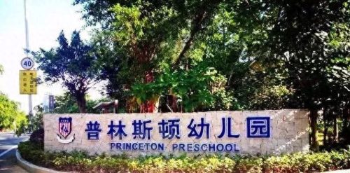 东莞龙岗的小学排名前十(凤岗的小学排名一览表)插图10