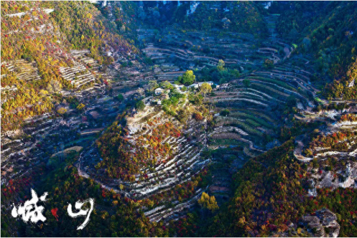 喊山红霞真实案件原型(喊山大结局)插图2