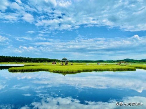 世界最美森林公园排名前十(十大森林公园排行榜)插图37