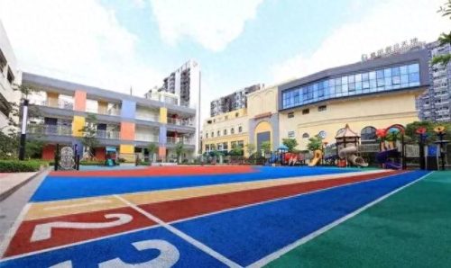 东莞龙岗的小学排名前十(凤岗的小学排名一览表)插图12