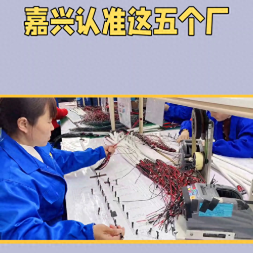 嘉兴汽车线束排名前十(嘉兴汽车开关排名榜前十名)插图