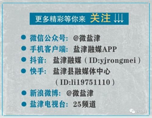 语录计划(正能量励志语录)插图5