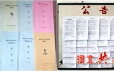 沧州医药批发公司排名前十(石家庄医药企业排行)