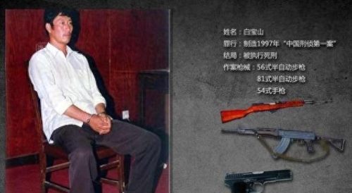 中国十大犯罪人物排行榜(十大犯罪名单白雁)插图6