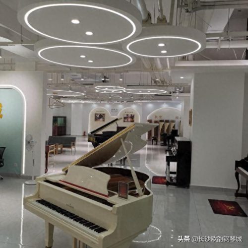 长沙市钢琴排名前十(娄底钢琴排行榜)插图