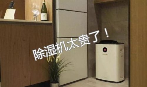 房间祛湿气十大排行榜(女性祛湿气最快的方法)插图8