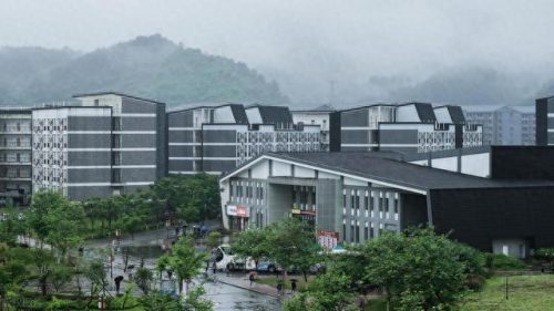 广西十大不好大学排行榜(广西有什么大学排名榜)插图8