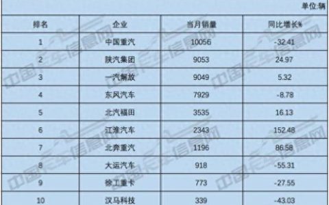 轻货车销售量排名前十(微型货车质量排名第一)