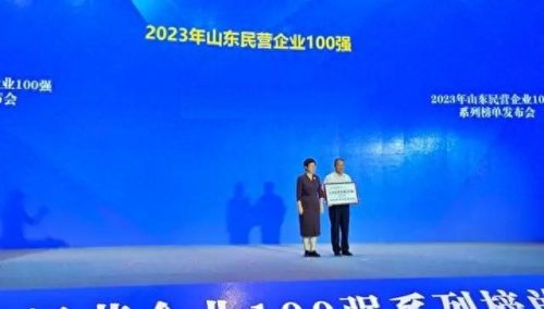 中国最大的材料厂排名前十(中国最大硅矿排名)插图5