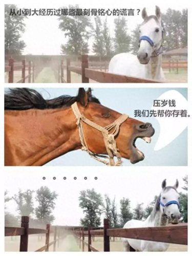辩论赛中噎死对方的话(一句噎死对方的神回复)插图1