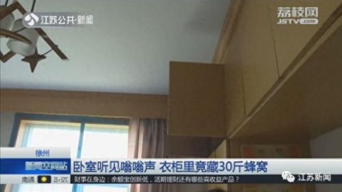 徐州铝蜂窝洁净板排名前十(铝蜂窝洁净板哪家专业)插图2