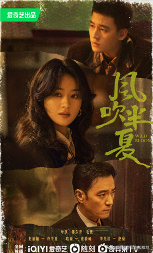 值得看的十大农村剧排行榜(2019必看十部电视剧农村剧)插图3
