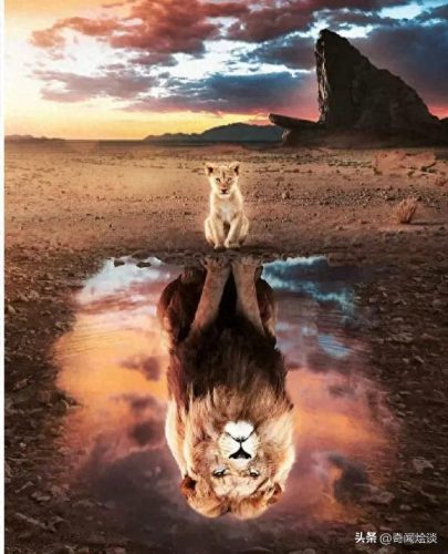 动物捕猎十大排行榜图片(动物捕猎残忍画面)插图26