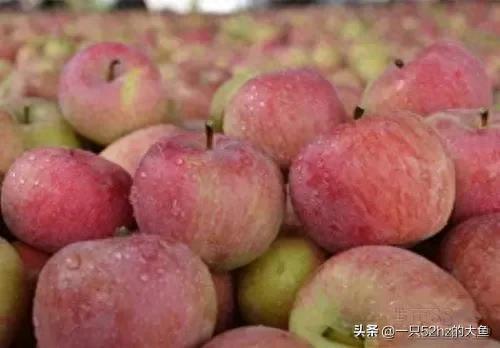 十大清脆水果排行榜前十名(痛风十大禁忌水果)插图3