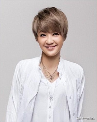 全国十大优秀女歌手排行榜(戴眼镜的女歌手)插图5