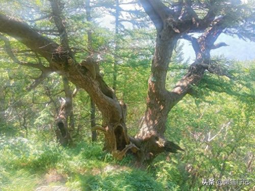 北京十大山峰海拔排行榜(中国所有山峰海拔排名)插图17
