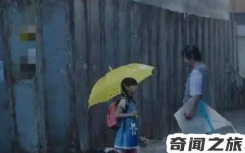 赵斗顺从轻判处服刑 (12)